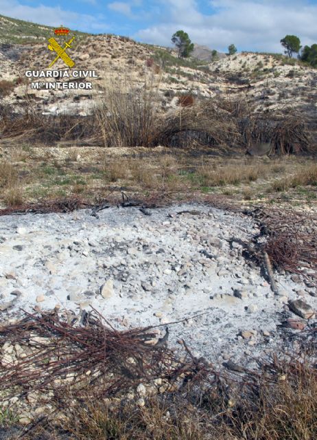 La Guardia Civil investiga a dos personas por un incendio en Moratalla y Hellín - 4, Foto 4