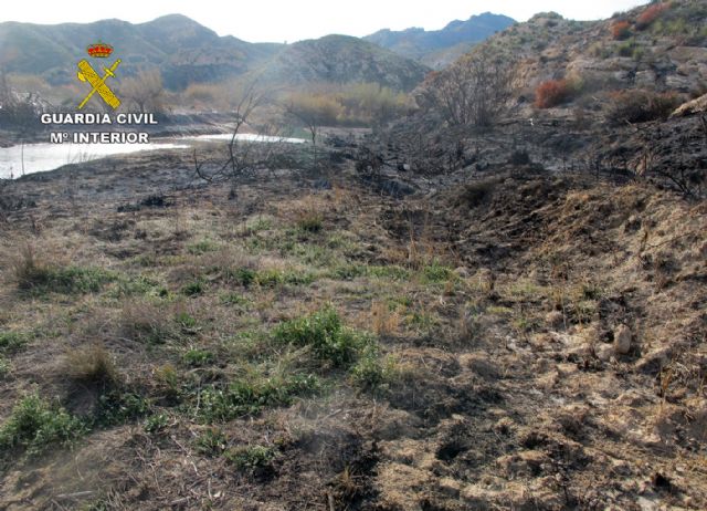 La Guardia Civil investiga a dos personas por un incendio en Moratalla y Hellín - 5, Foto 5