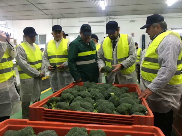 La cooperativa Sacoje, situada en la pedanía de La Hoya, se sitúa entre las empresas agrícolas de la Región que más hectáreas destina al cultivo de productos ecológicos - 1, Foto 1