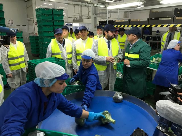La cooperativa Sacoje, situada en la pedanía de La Hoya, se sitúa entre las empresas agrícolas de la Región que más hectáreas destina al cultivo de productos ecológicos - 2, Foto 2