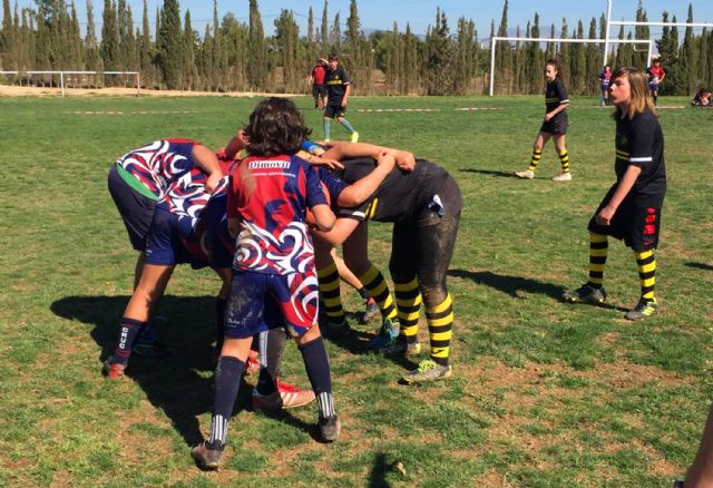 Cerca de 200 jóvenes jugadores de rugby disfrutan de una gran fiesta del deporte en Las Torres de Cotillas - 4, Foto 4