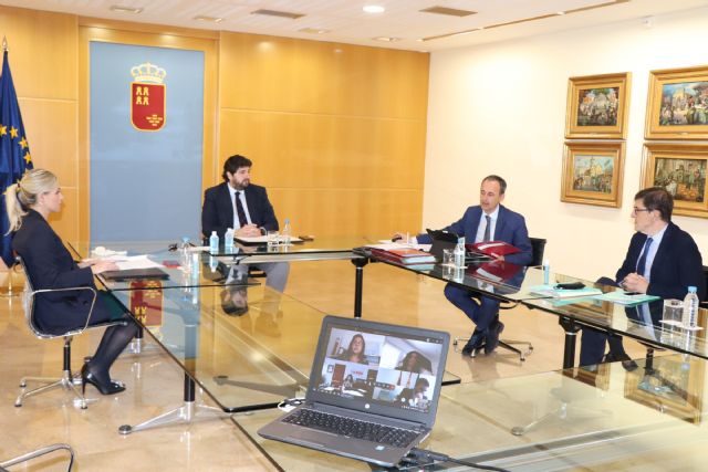 El Consejo de Gobierno se reúne por vía telemática, Foto 1