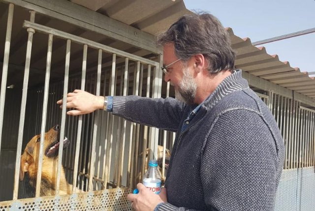 Pautas de actuación con relación a las mascotas en el marco del estado de alarma - 1, Foto 1