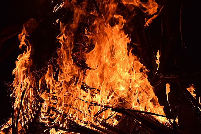 Informe ´¡Fuego! Los incendios asegurados´ - 1, Foto 1