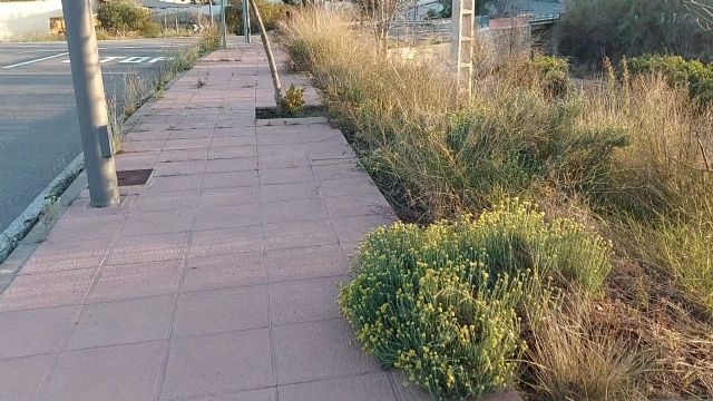 El PP denuncia el abandono total del mantenimiento municipal en la pedanía de La Escarihuela - 3, Foto 3