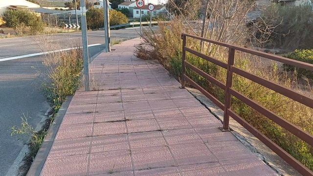 El PP denuncia el abandono total del mantenimiento municipal en la pedanía de La Escarihuela - 4, Foto 4