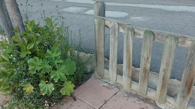 El PP denuncia el abandono total del mantenimiento municipal en la pedanía de La Escarihuela - 5, Foto 5