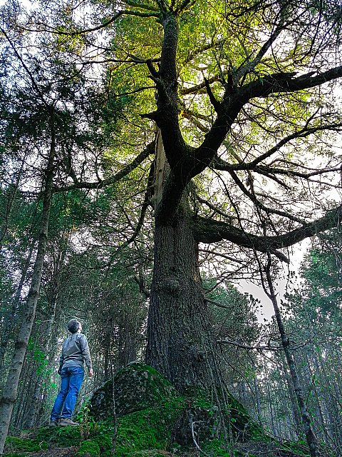 Los mejores museos al aire libre para visitar con niños - 1, Foto 1