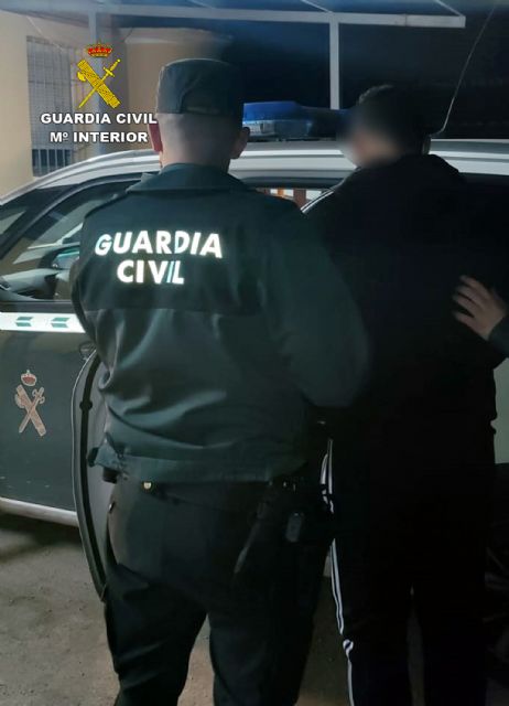 La Guardia Civil detiene en Archena al presunto autor del robo de herramientas, maquinaria y combustible - 5, Foto 5