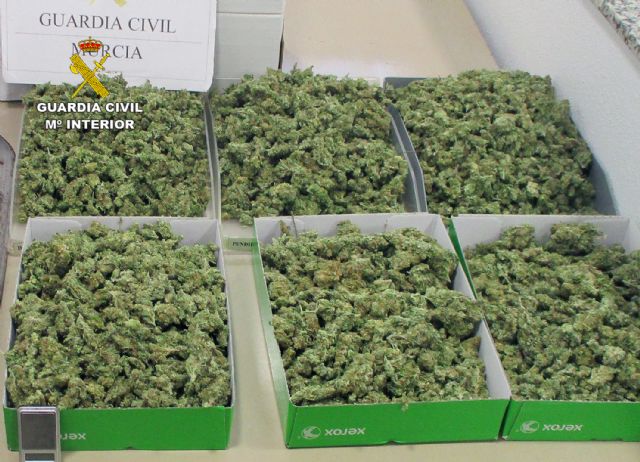 La Guardia Civil desmantela en San Javier tres puntos de venta de drogas - 2, Foto 2