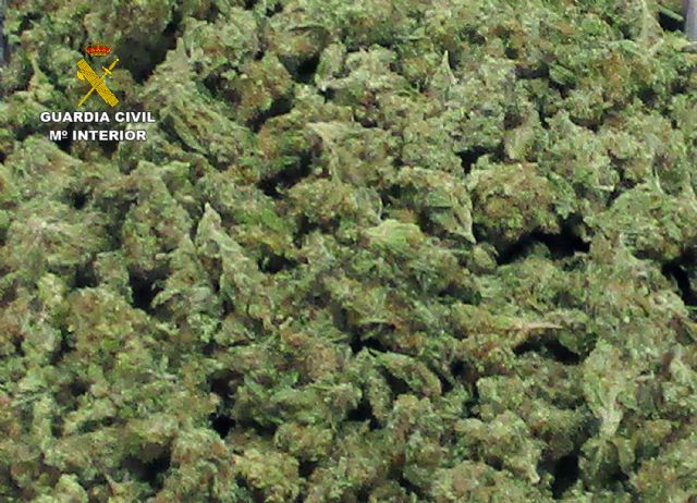 La Guardia Civil desmantela en San Javier tres puntos de venta de drogas - 4, Foto 4