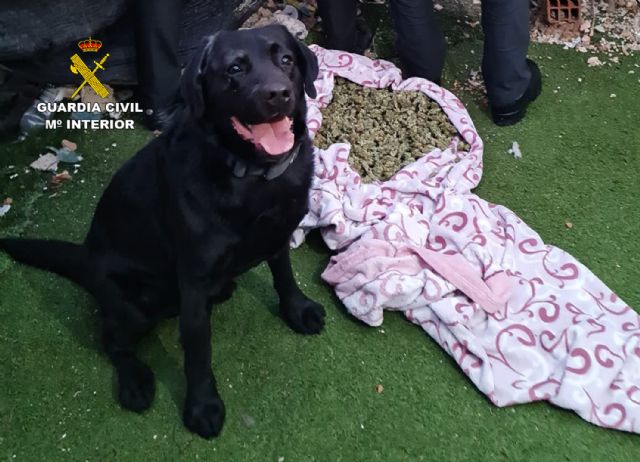 La Guardia Civil desmantela en San Javier tres puntos de venta de drogas - 5, Foto 5