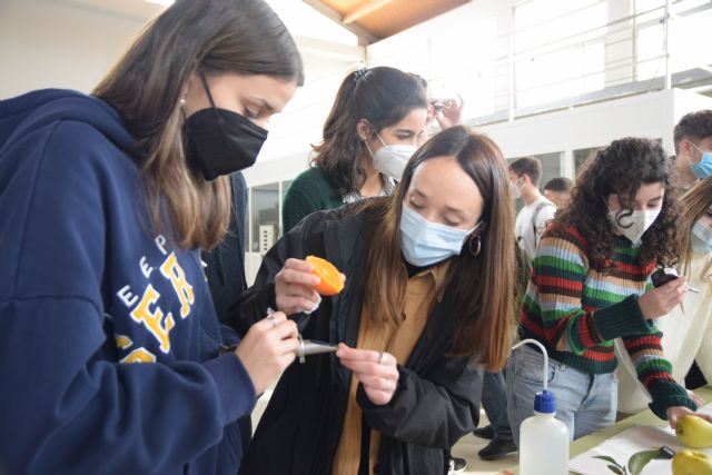 Cultivo marciano, secuestro de carbono y estrés postcosecha: vuelven las Rutas Biotecnológicas - 1, Foto 1