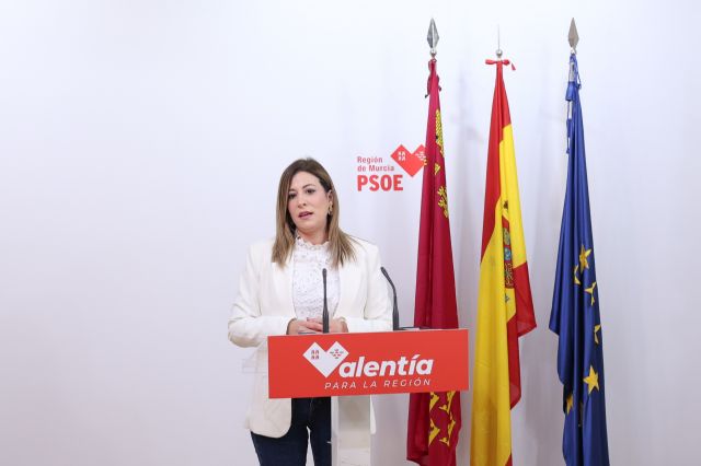 Gadea: López Miras no hace sus deberes porque está más pendiente de las órdenes de Génova que de lo que necesita la Región de Murcia - 1, Foto 1