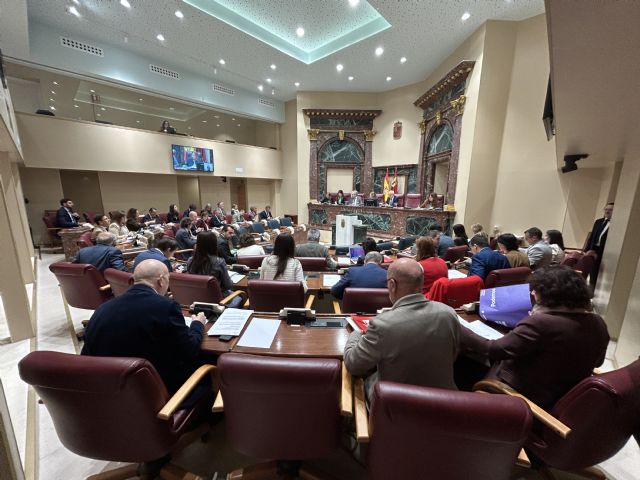 El Pleno de la Asamblea Regional aprueba una Declaración Institucional en respaldo a los trabajadores de las empresas auxiliares de SABIC - 2, Foto 2