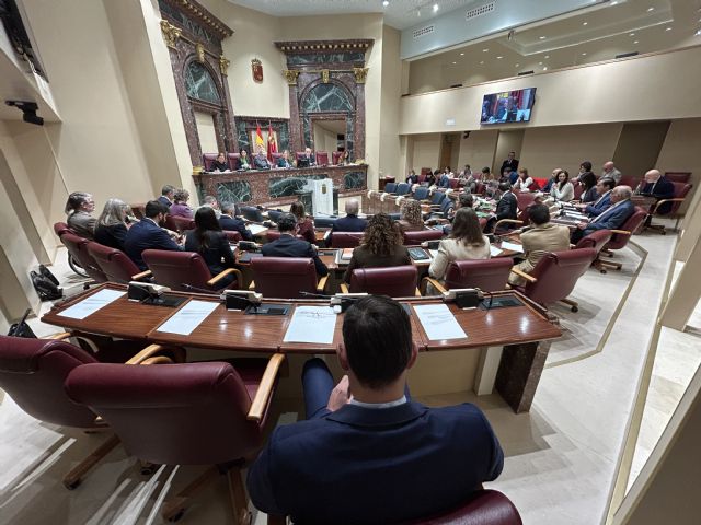 El Pleno de la Asamblea Regional aprueba una Declaración Institucional en respaldo a los trabajadores de las empresas auxiliares de SABIC - 3, Foto 3