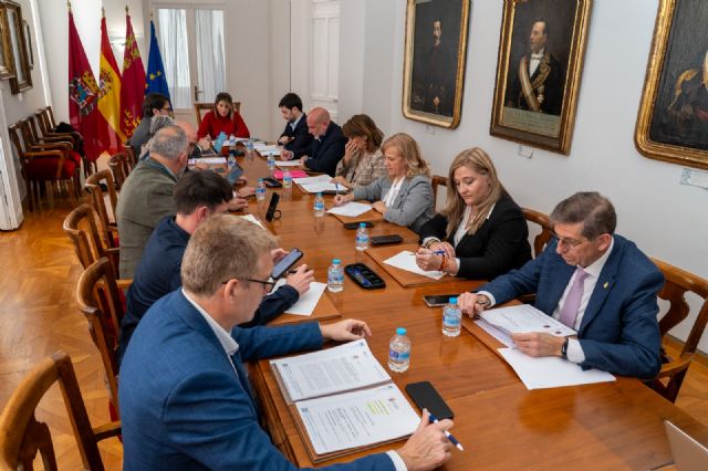 VOX supervisará los proyectos de acción social subvencionados por el Ayuntamiento - 4, Foto 4