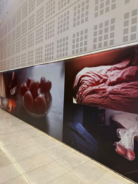 Arenas de Barcelona y Espai de fotografía Francesc Català-Roca presentan una exposición fotográfica sobre identidad y vida cotidiana - 3, Foto 3