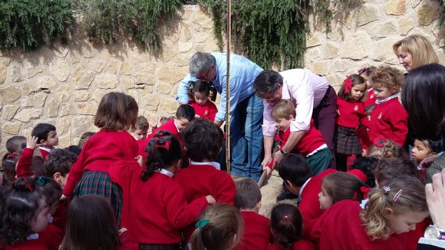 El Ayuntamiento amplía el catálogo verde lorquino con la plantación de 9.600 árboles y plantas en los últimos años - 2, Foto 2