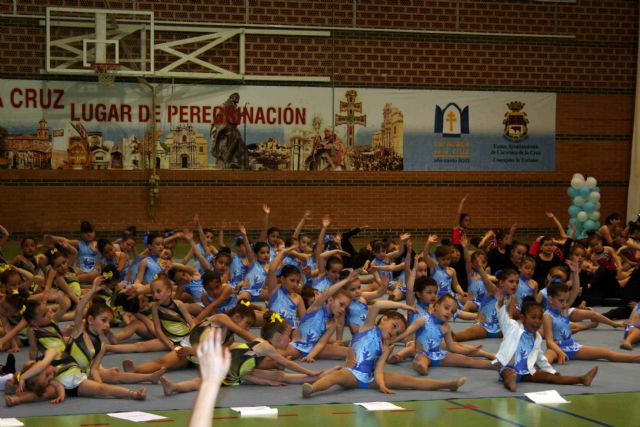 Más de 200 alumnos de Gimnasia Ritmica participan en el Festival de Primavera de la Concejalía de Deportes - 3, Foto 3