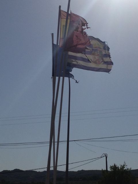 La alcaldesa de Jumilla pide al PP que deje de utilizar la bandera espa&ntilde;ola para ocultar sus verdaderas intenciones - 2, Foto 2