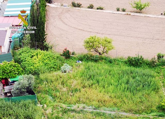 La Guardia Civil localiza a un octogenario desaparecido en Cieza - 3, Foto 3