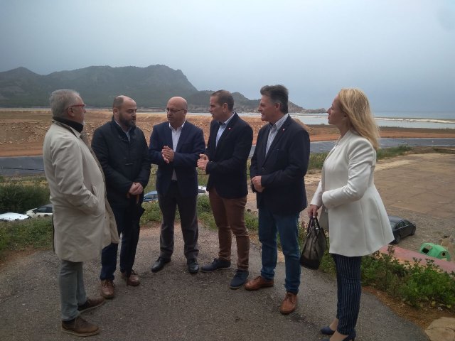 Ciudadanos frenara la desertización plantando 500 millones de árboles durante la próxima legislatura - 1, Foto 1