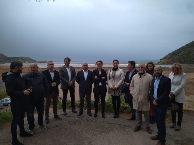 Ciudadanos frenara la desertización plantando 500 millones de árboles durante la próxima legislatura - 2, Foto 2