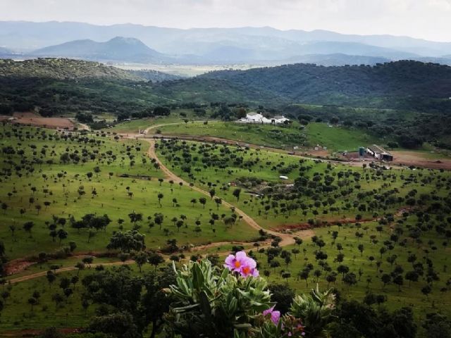 Carta abierta de la Fundación Savia a la Ministra de Transición Ecológica y Reto Demográfico - 1, Foto 1