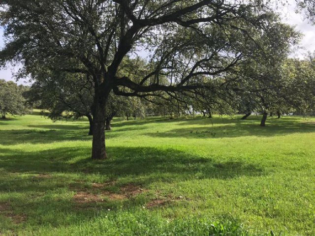 La Fundación Savia solicita a Teresa Ribera medidas para una verdadera transición ecológica - 1, Foto 1