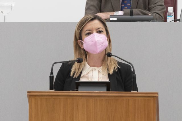 El PP solicita al Gobierno de España que paralice la subida de impuestos y respete la autonomía fiscal de las comunidades autónomas - 1, Foto 1