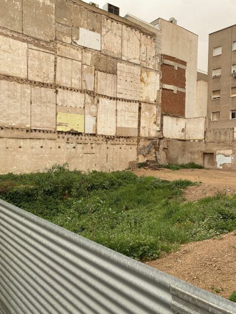 MC exige la intervención del Gobierno murciano para que la colección de Marifí Plazas sea cedida a Cartagena - 1, Foto 1