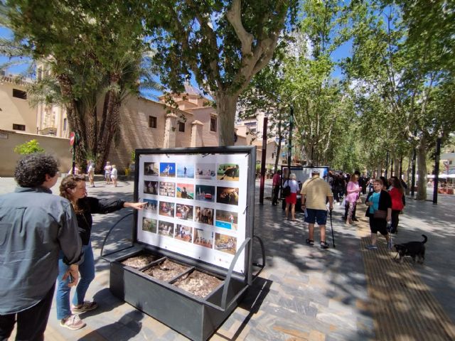 Alumnos de fotografía de la Escuela de Arte exponen en la Avenida Alfonso X una reinterpretación de conocidas obras pictóricas - 1, Foto 1