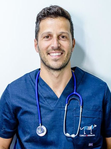 El Ayuntamiento concede el II Premio Molina Ciudad Amiga de los Animales 2024 al Colegio El Taller, a la Estación de Servicio Acierta, a Manuel García, y a los veterinarios José Navarro y Alessandro Monaldi - 2, Foto 2