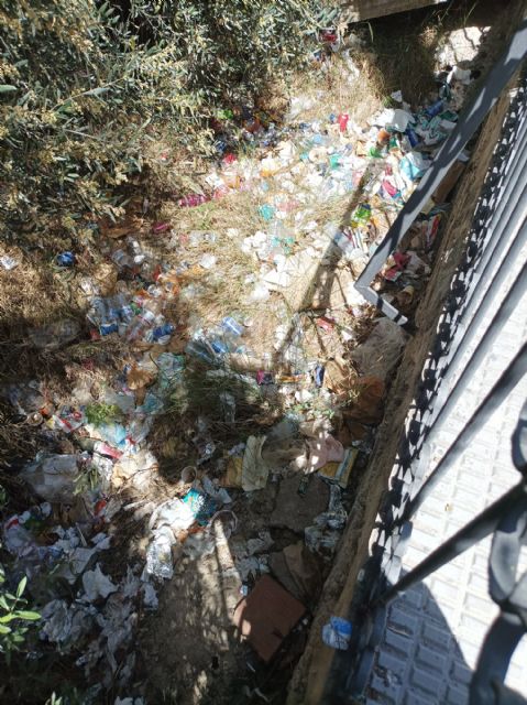Para Podemos-Cieza, la suciedad en calles y plazas es una lacra que empaña la imagen de la ciudad de Cieza - 2, Foto 2