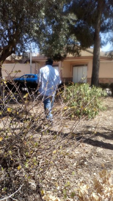 El Partido Cantonal pide un riego de socorro en los parques de Miranda ante el mal estado del arbolado - 3, Foto 3