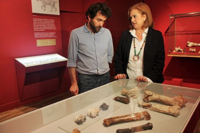  La directora general de Bienes Culturales, María Comas, y el paleontólogo totanero Gregorio Romero, uno de los comisarios de la exposición 'Cueva Victoria. Out of África'.