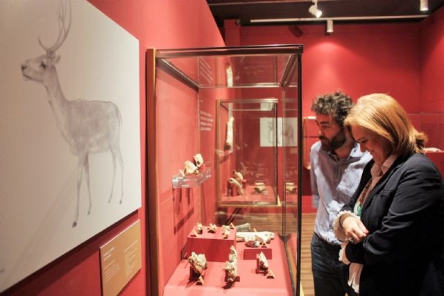 El Museo Arqueológico de Murcia descubre la gran riqueza de fósiles de Cueva Victoria - 2, Foto 2