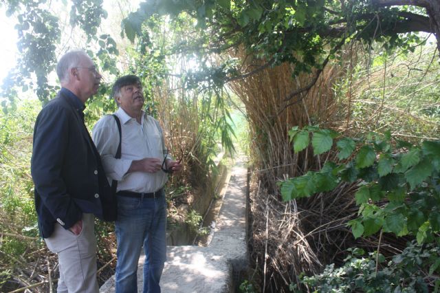 El Ayuntamiento de Murcia proyecta la recuperación ambiental del Paraje de las Compuertas de la Azacaya - 5, Foto 5