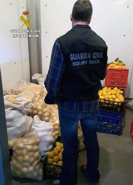 La Guardia Civil esclarece la sustracción de más de ocho toneladas de limones y 36 palots - 1, Foto 1