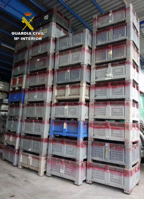 La Guardia Civil esclarece la sustracción de más de ocho toneladas de limones y 36 palots - 2, Foto 2