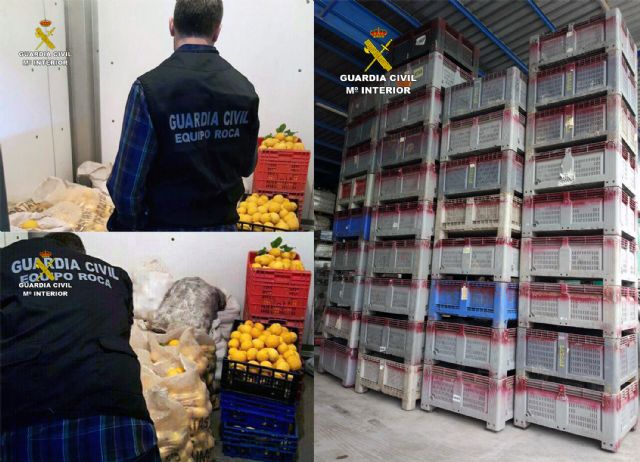 La Guardia Civil esclarece la sustracción de más de ocho toneladas de limones y 36 palots - 3, Foto 3