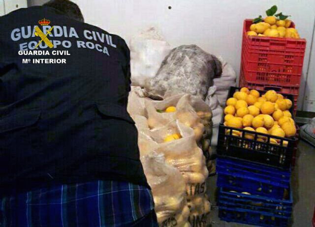 La Guardia Civil esclarece la sustracción de más de ocho toneladas de limones y 36 palots - 4, Foto 4