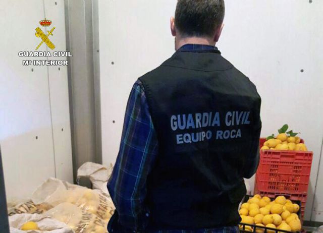 La Guardia Civil esclarece la sustracción de más de ocho toneladas de limones y 36 palots - 5, Foto 5