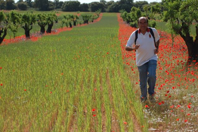 Blas Rubio García, elegido cronista oficial de la villa - 1, Foto 1