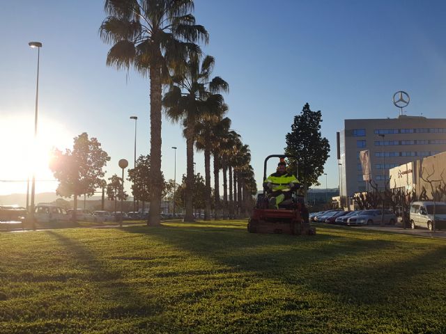 El Ayuntamiento aumenta la frecuencia de la siega del césped de las praderas verdes de Murcia - 1, Foto 1