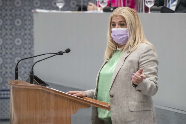 El PSOE asegura que el 90 por ciento de los presupuestos regionales los ha aportado el Gobierno de España - 1, Foto 1