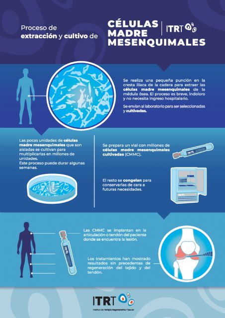 ITRT demuestra por primera vez en el mundo que se puede regenerar tendón con células madre mesenquimales cultivadas - 2, Foto 2