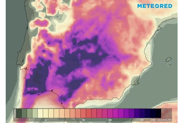 Se esperan concentraciones de polen de gramíneas muy elevadas en Extremadura, Castilla-La Mancha, oeste de Andalucía y sur de Madrid., Foto 1