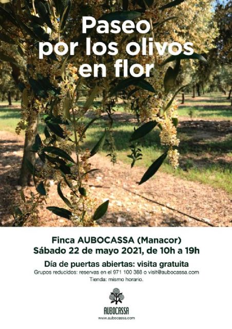 AUBOCASSA invita a un Paseo por los olivos en flor, una jornada de puertas abiertas para todos los públicos y descubrir la floración de sus olivos - 1, Foto 1